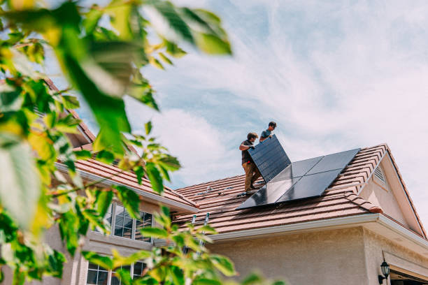 Best Roof Moss and Algae Removal  in Endicott, NY